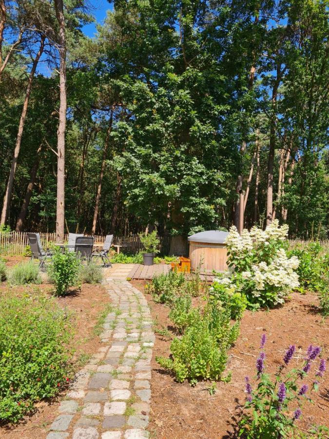 Vakantiehuis Met Hottub En Barrelsauna Ommen Exterior foto